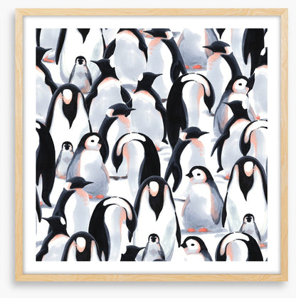 Penguin parade