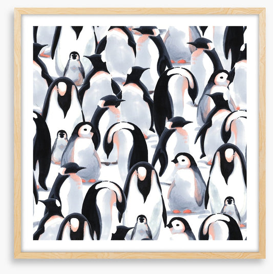 Penguin parade