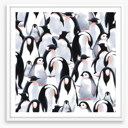 Penguin parade