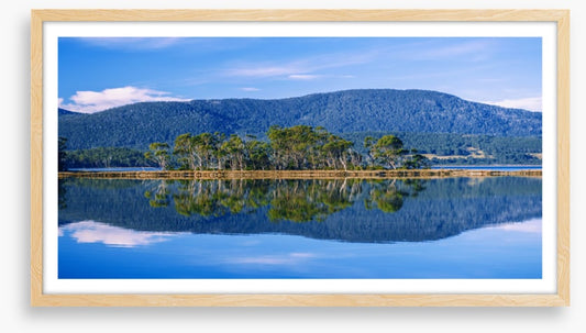 Bruny island blues