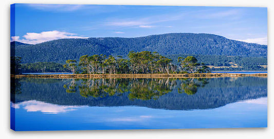 Bruny island blues