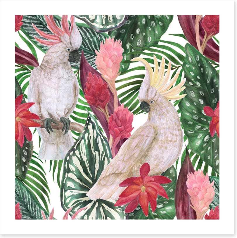 Cockatoo palms