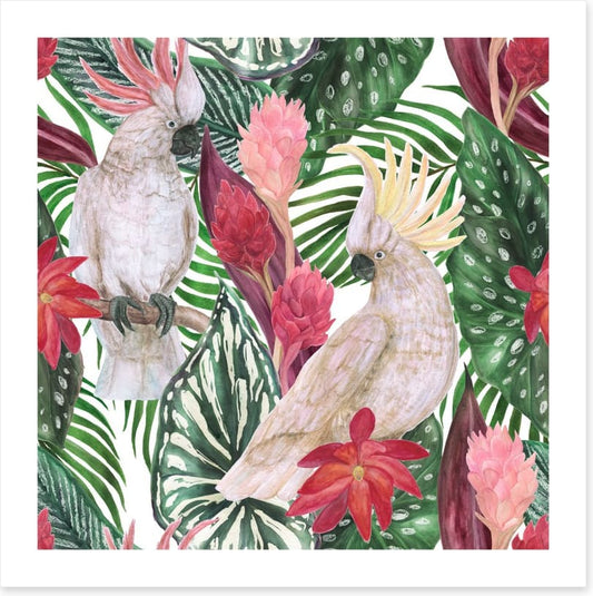 Cockatoo palms