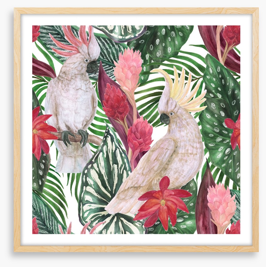 Cockatoo palms
