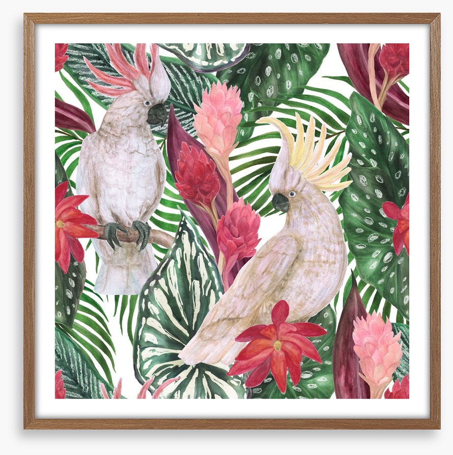 Cockatoo palms