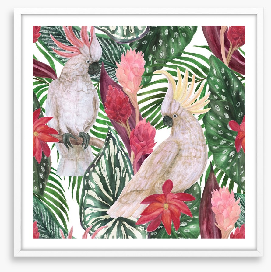 Cockatoo palms
