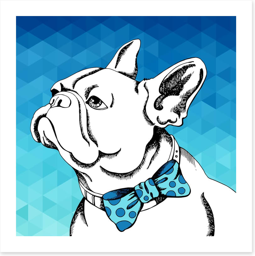 Bulldog bowtie