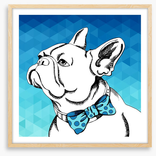 Bulldog bowtie