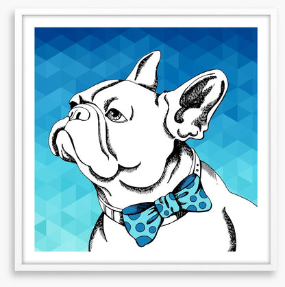 Bulldog bowtie