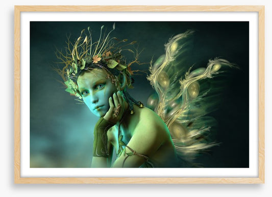 The woodland sylph
