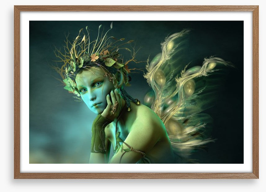 The woodland sylph