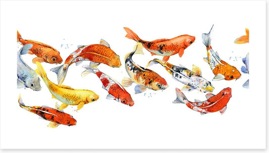 Follow the goldfish