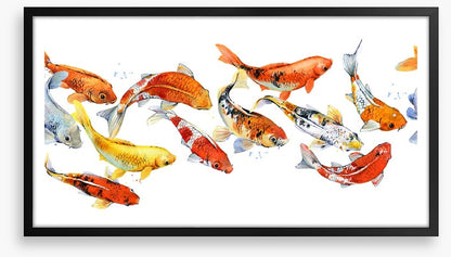 Follow the goldfish