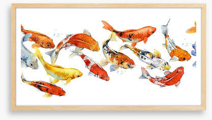 Follow the goldfish