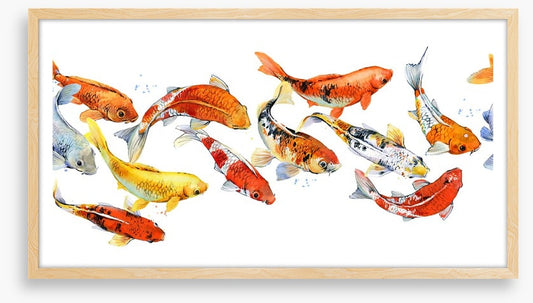 Follow the goldfish