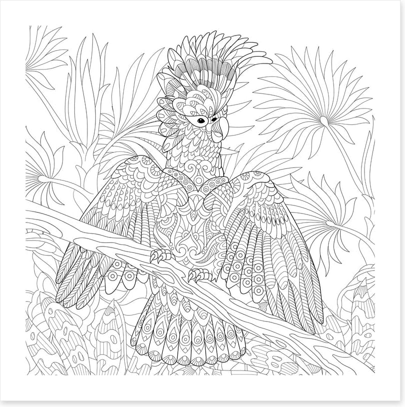 Colour me cocky