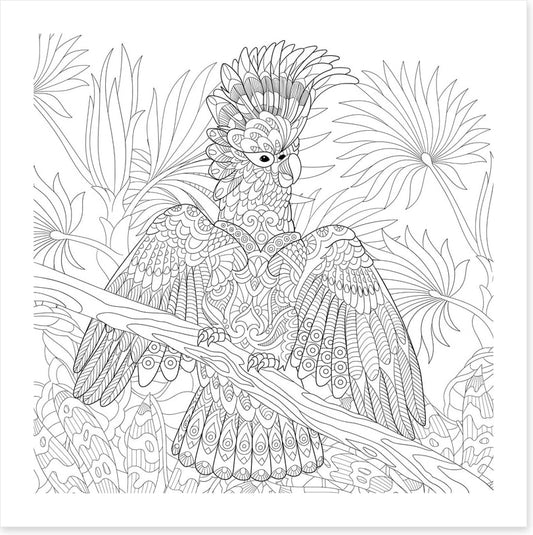 Colour me cocky
