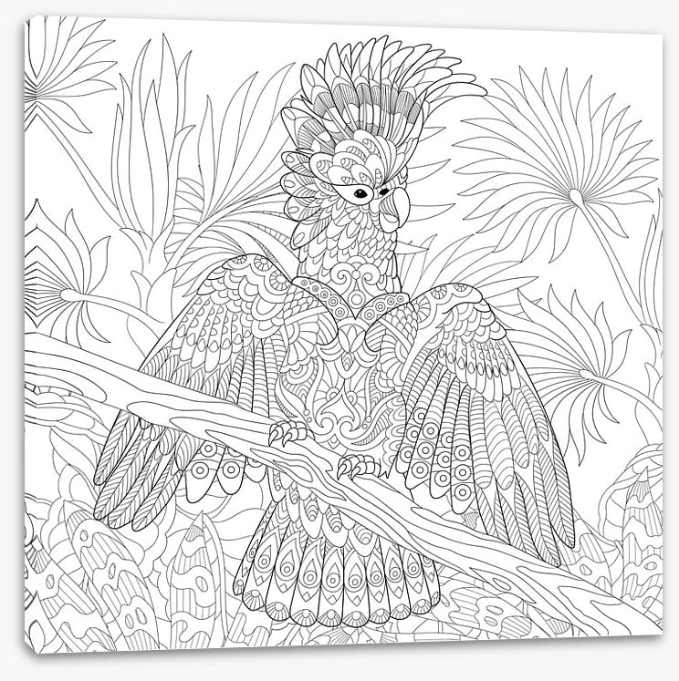 Colour me cocky
