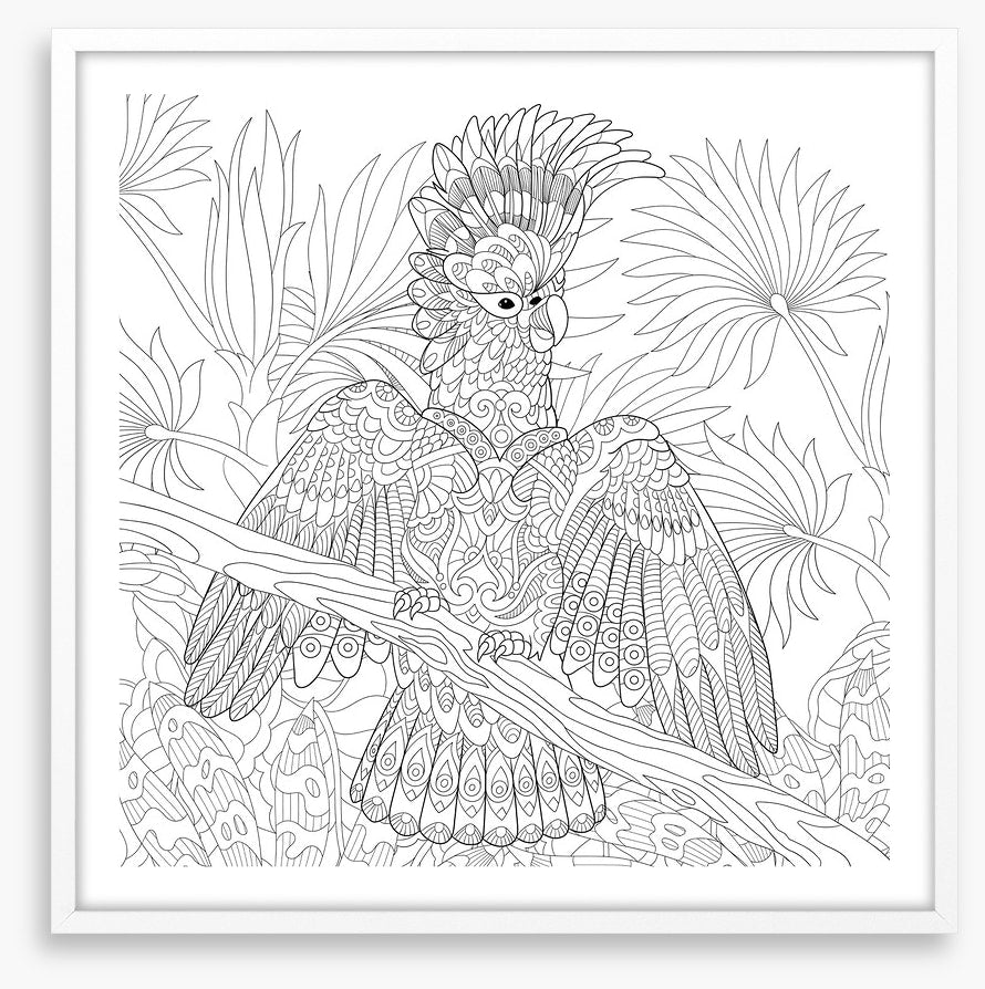 Colour me cocky