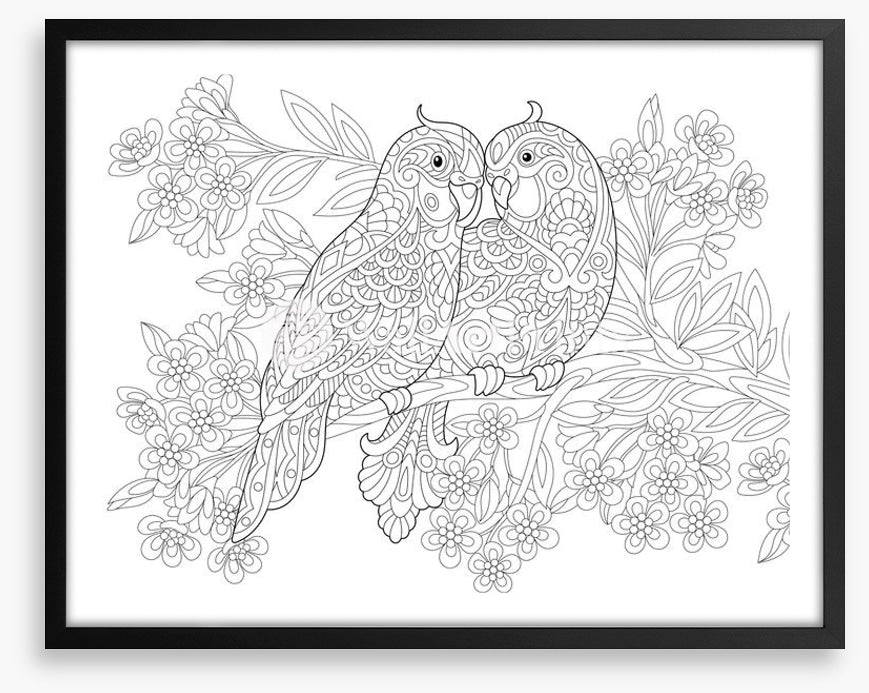 Colour me parrot pair