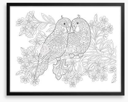 Colour me parrot pair