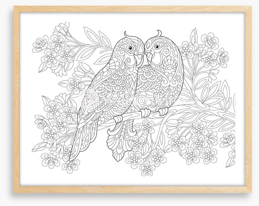 Colour me parrot pair