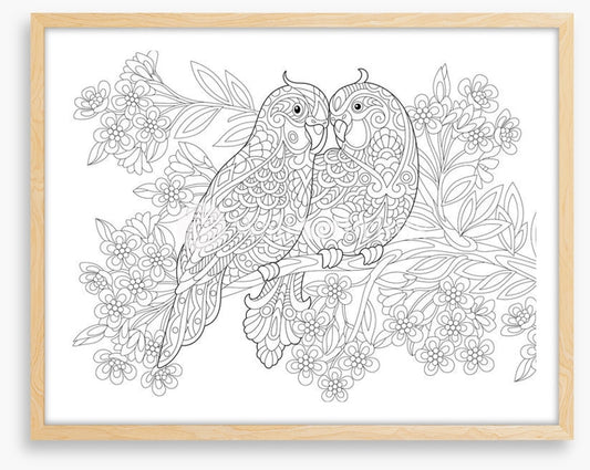Colour me parrot pair