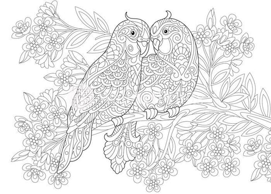 Colour me parrot pair