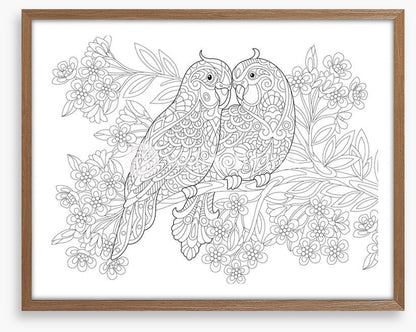 Colour me parrot pair