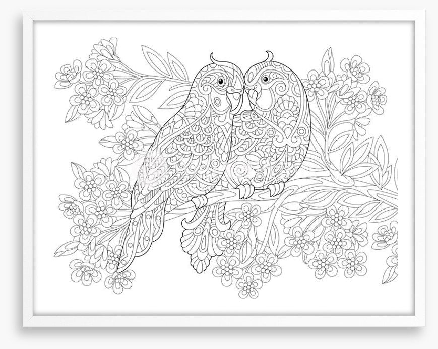 Colour me parrot pair