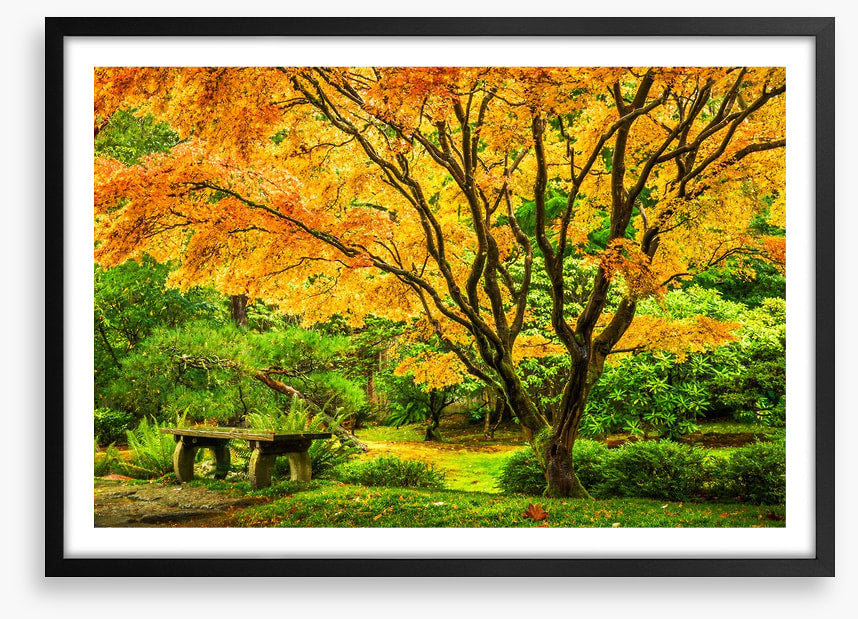 Golden maple bench