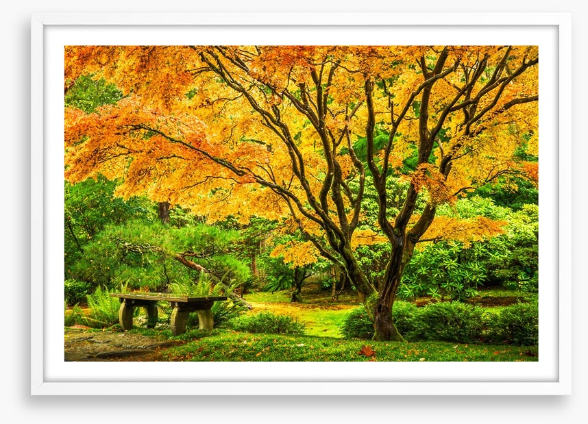 Golden maple bench