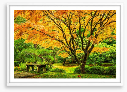 Golden maple bench