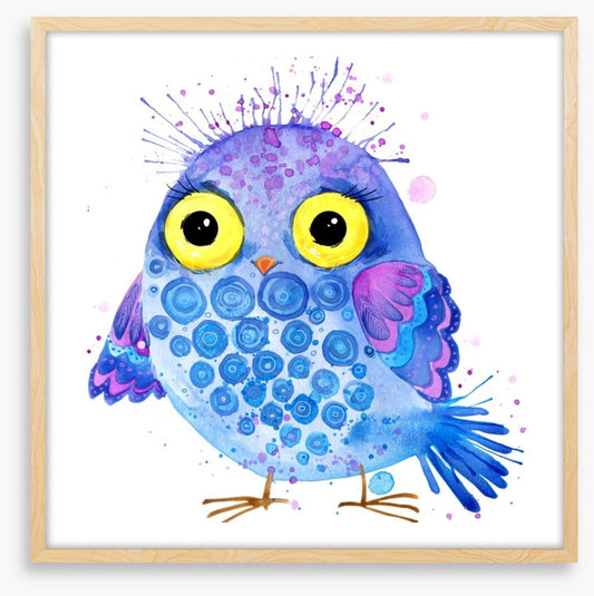 Little blue owl
