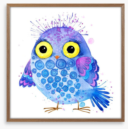 Little blue owl