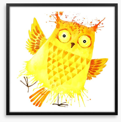 Owls