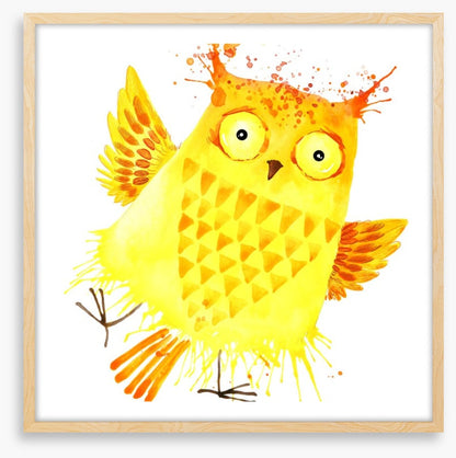 Owls