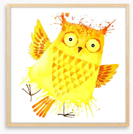 Owls
