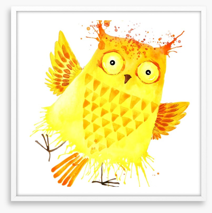 Owls