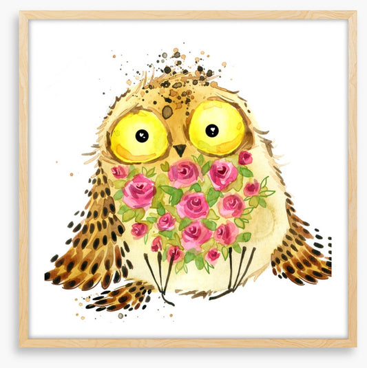 Owls