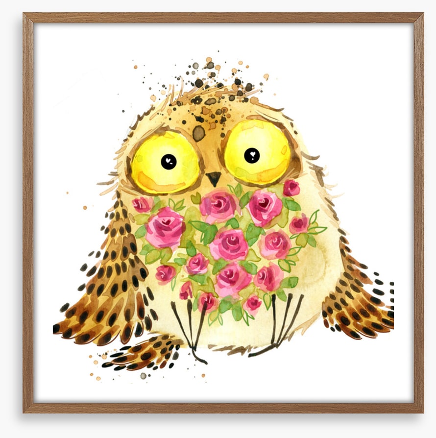 Owls