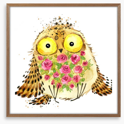 Owls