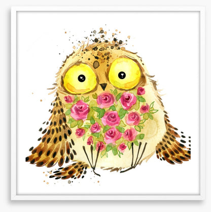 Owls