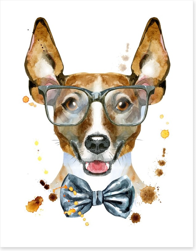Mr Jack Russell