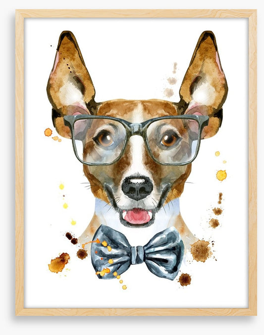 Mr Jack Russell