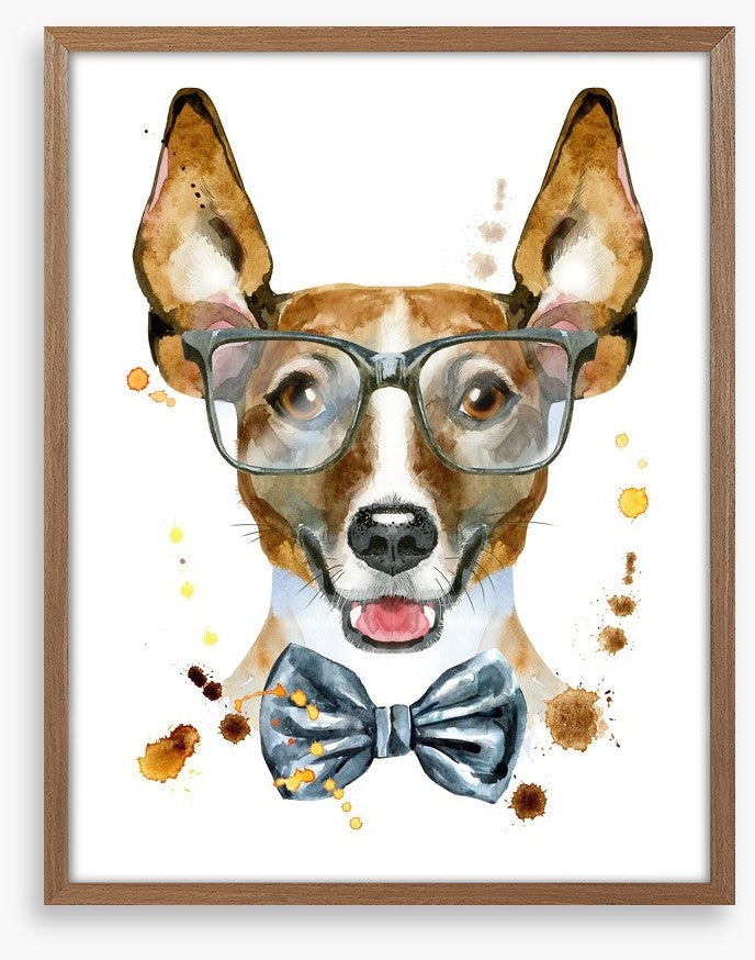 Mr Jack Russell
