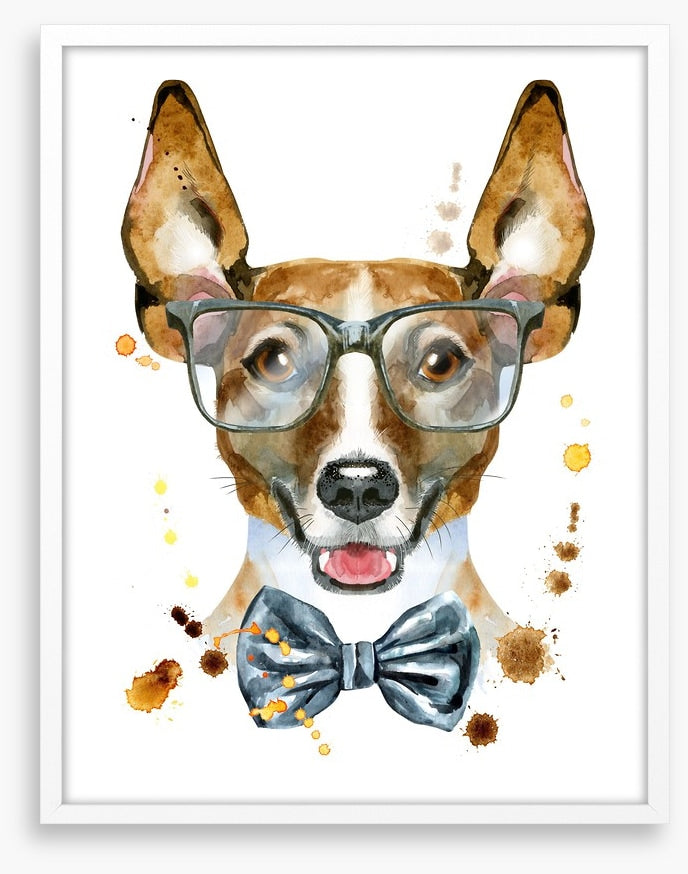 Mr Jack Russell