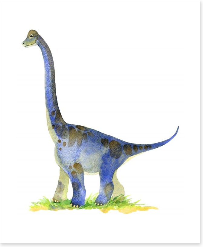 Dinosaurs