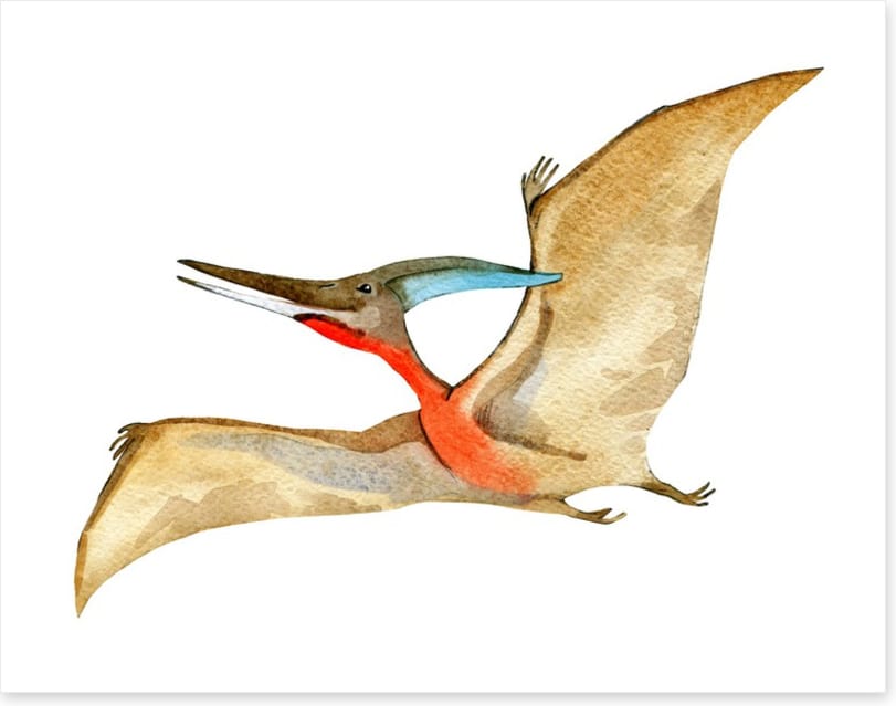 Dino wings