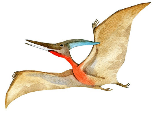 Dino wings